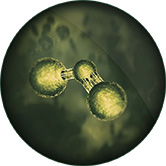 Dyson Purifier Hot+Cool gen1 Zápachy