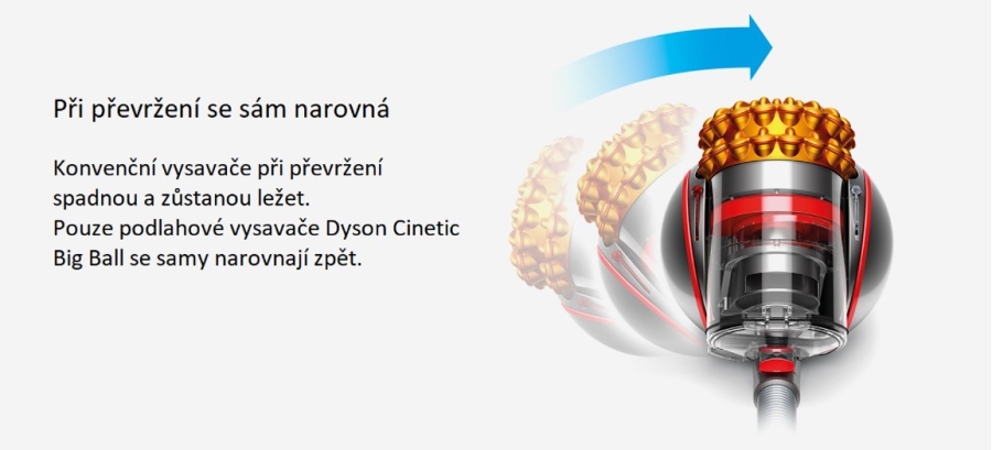 Dyson CInetic Big Ball