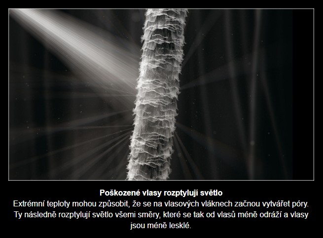 Poškozené vlasy