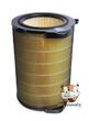 EFDBTH6 Ochranný filtr Electrolux PURE A9 proti pylu 600 CADR